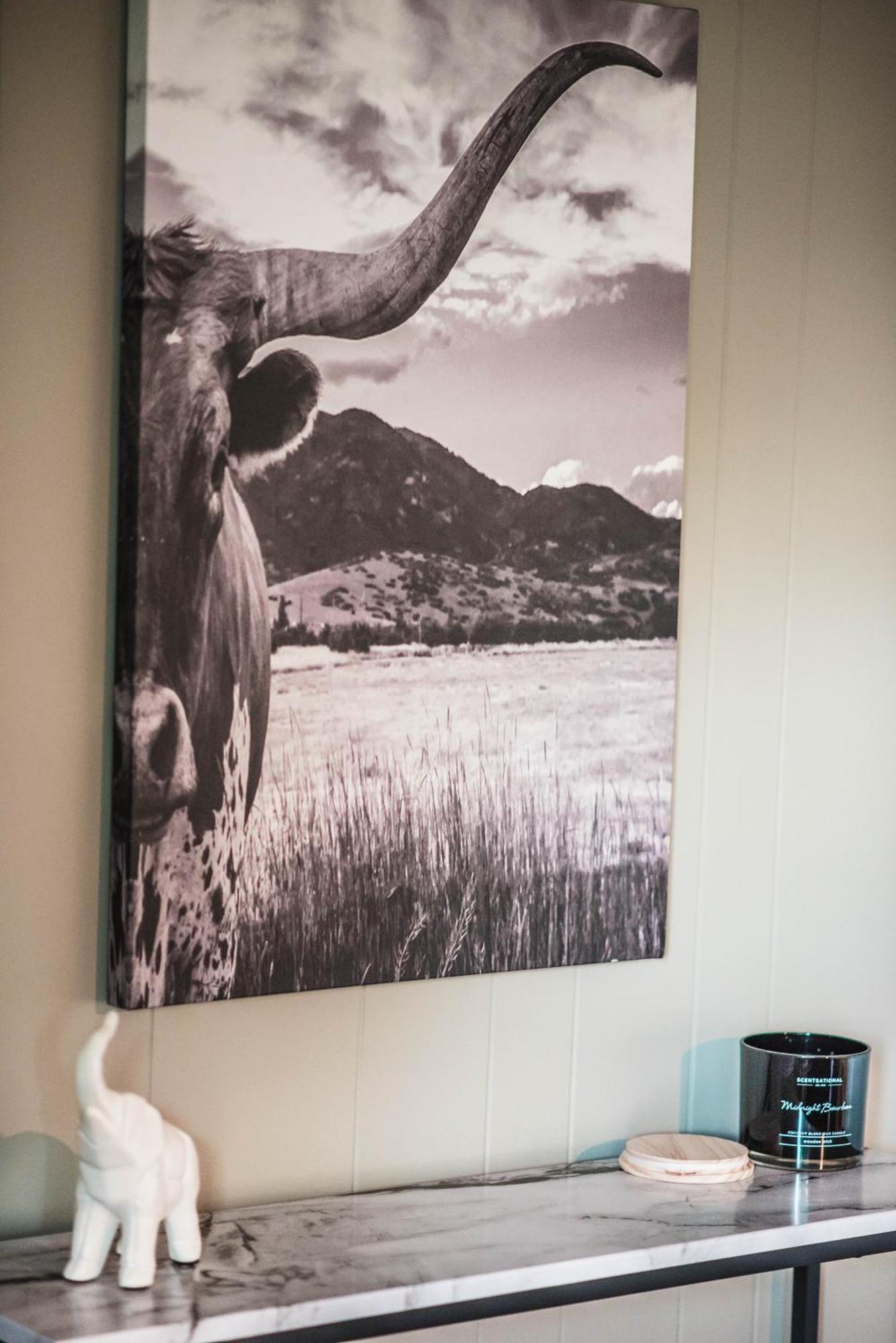 Mount Tabor Ranch Near Vt - King Bed/Fast Wi-Fi Villa Блексбург Екстериор снимка